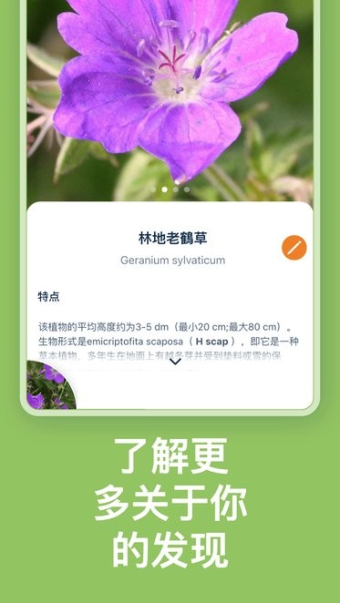 floraincognitaapp自动植物识别免费版APP