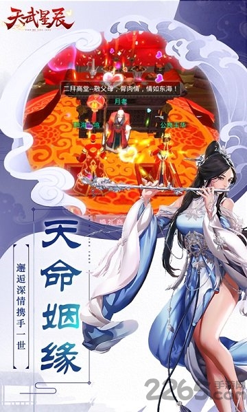 天武星辰游戏