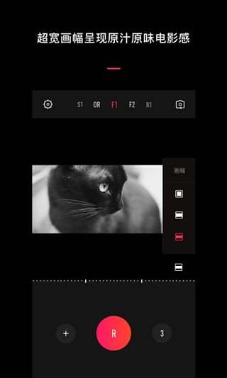 VUE手机版APP