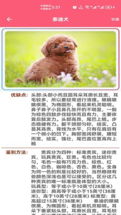 宠物宝宝大全APP
