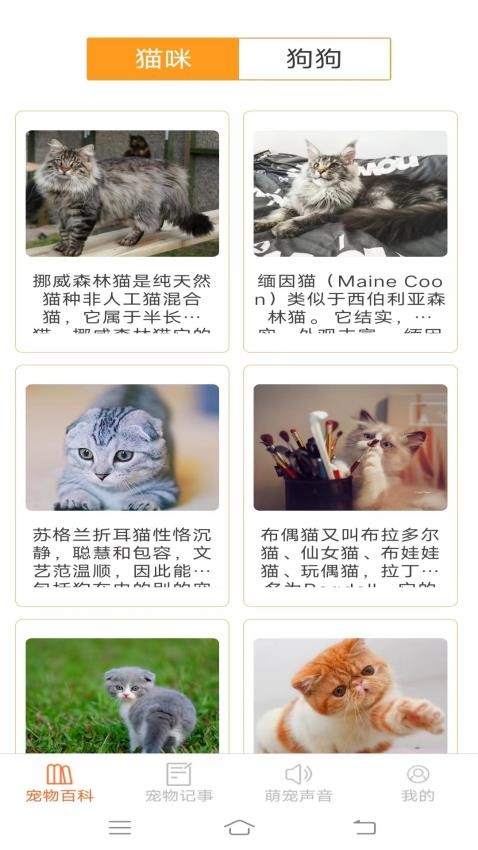 宠物多多APP