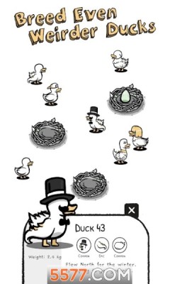 Clusterduck游戏
