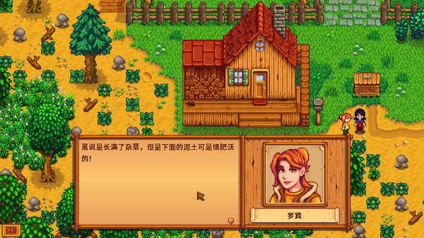 星露谷游戏游戏