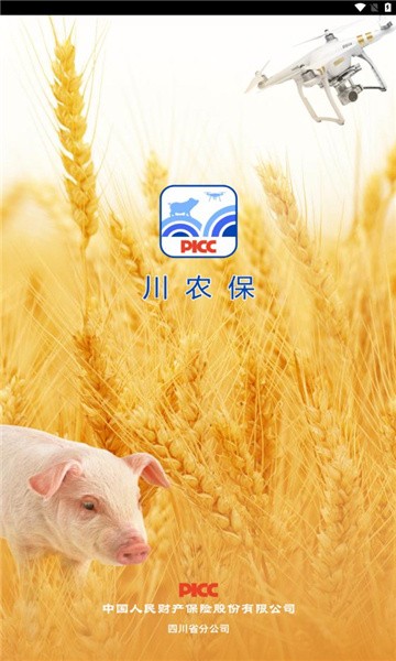 川农保piccAPP