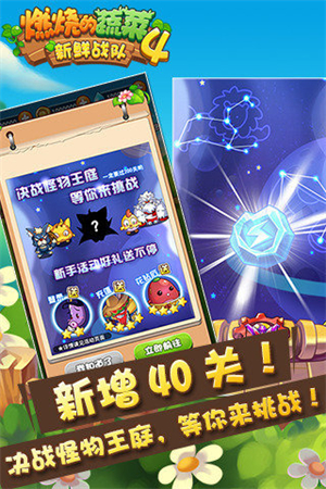 燃烧的蔬菜4内购游戏