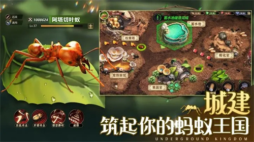 小小蚁国内购版下载游戏