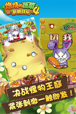 燃烧的蔬菜4内购游戏