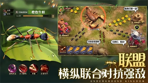 小小蚁国内购版下载游戏