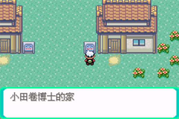 口袋妖怪传说绿宝石免费版游戏