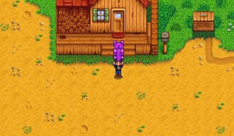 星露谷物语枫姨美化版免谷歌游戏
