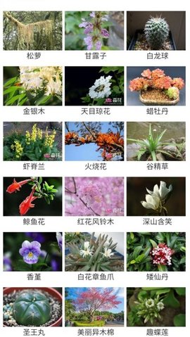 花草种植APP