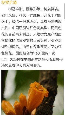 花草种植APP