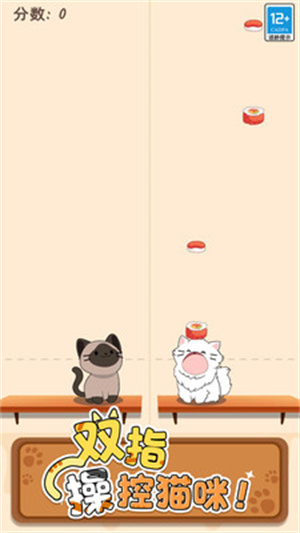 猫咪二重奏APP