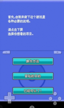 口袋妖怪魂银游戏