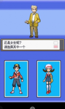 口袋妖怪魂银游戏