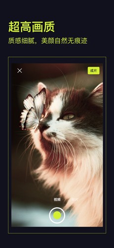 开拍APP