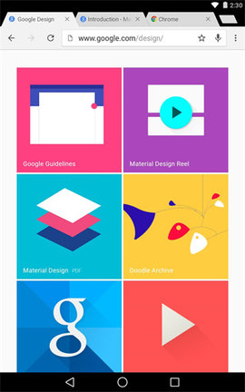 ChromeAPP