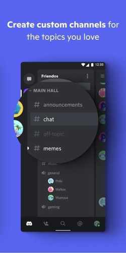 discord软件APP