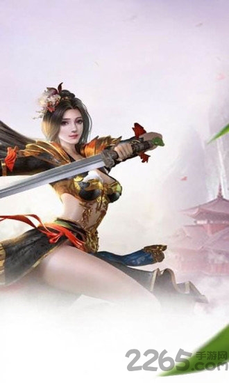 纵横无双九游正式版游戏