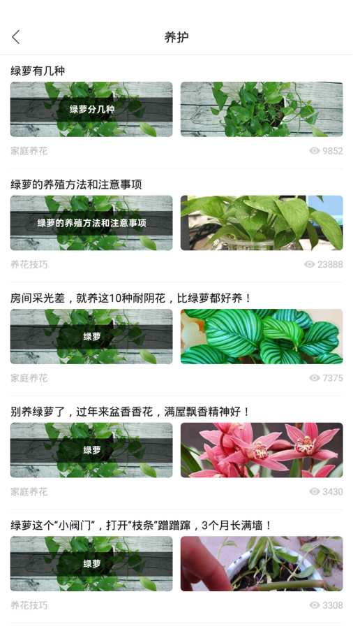 百花卉APP