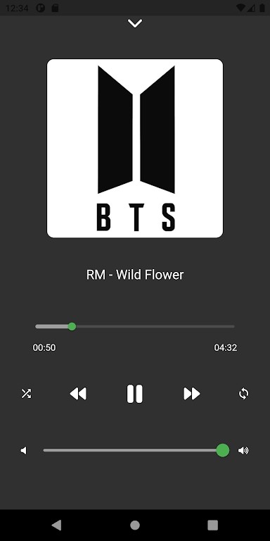 btssongzAPP