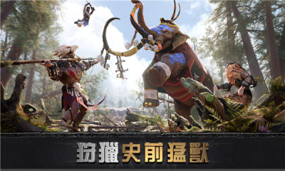 大酋长游戏游戏