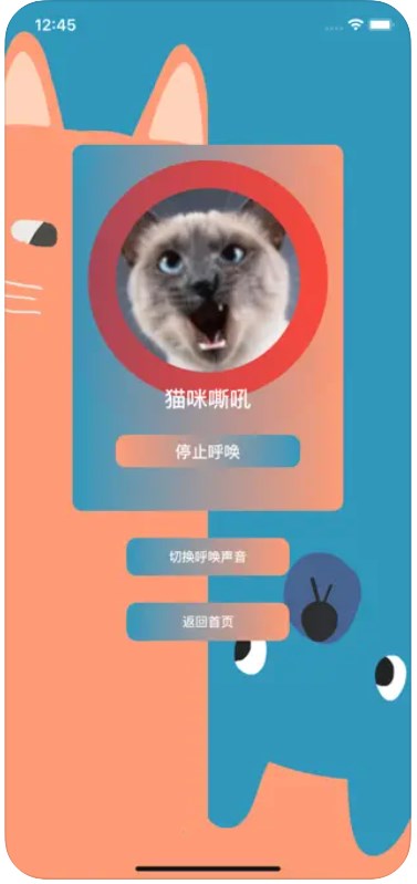 养猫神器助手免费安卓版APP