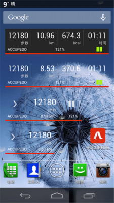 Accupedo计步器APP