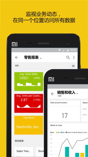 powerbiAPP
