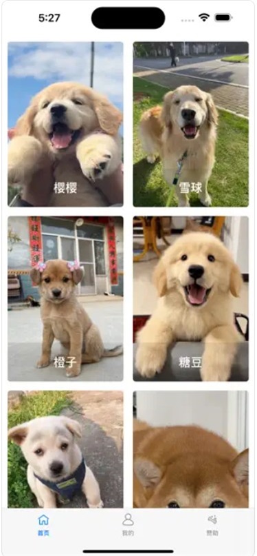 爱犬回家录手机官方版APP