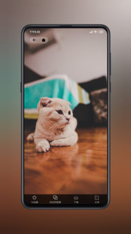 纸塘壁纸官方版APP