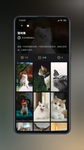 纸塘壁纸官方版APP