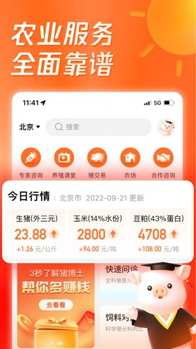 正大猪博士手机版APP