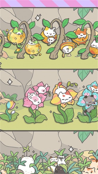 我的猫咪盆栽游戏