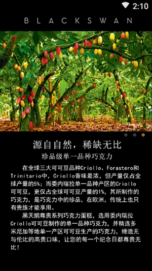 黑天鹅外卖APP
