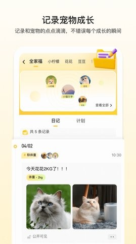 附近有喵appAPP