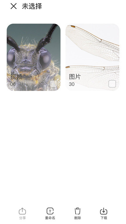 阿蛋科学探索APP