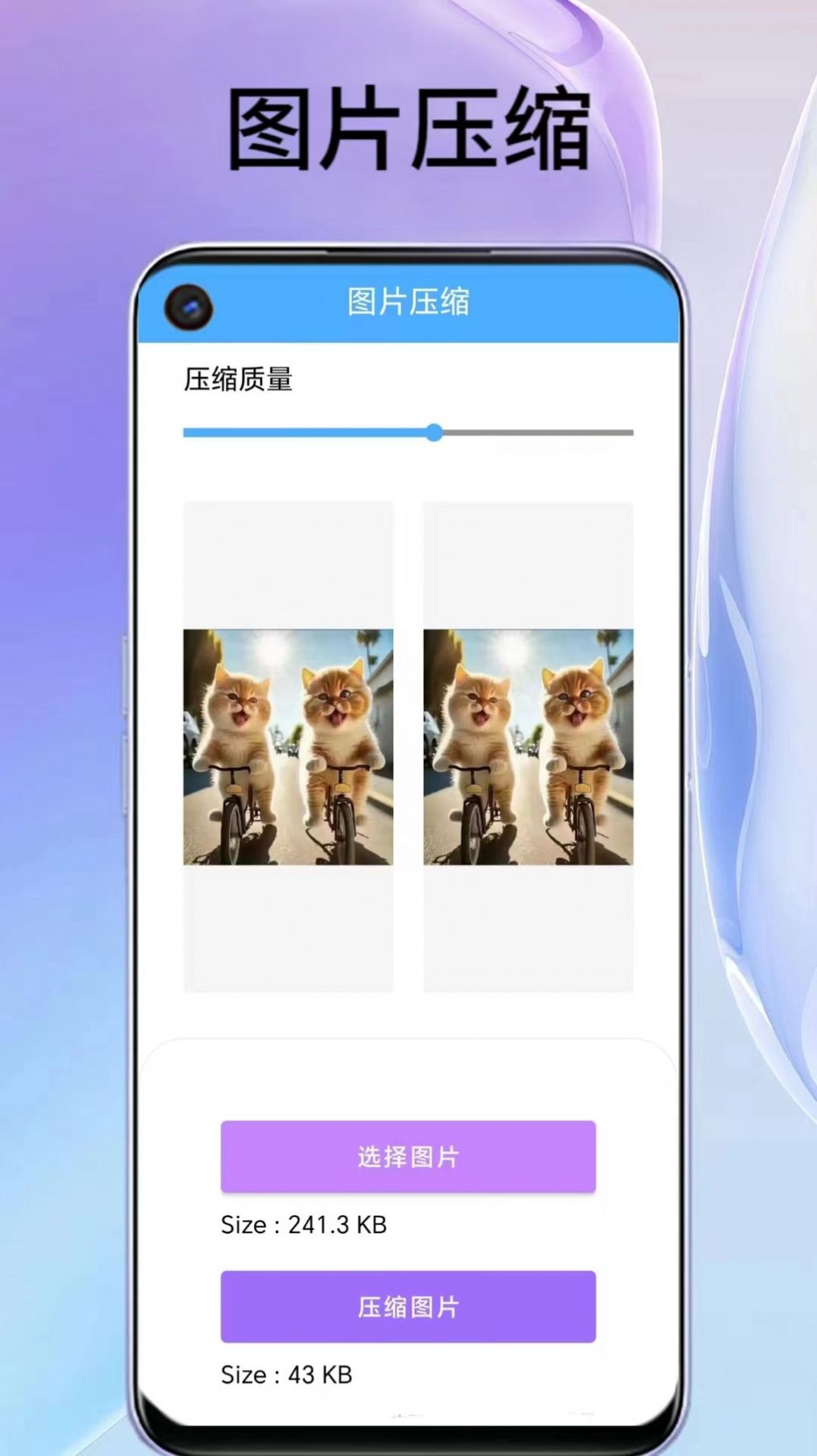 叮叮袋APP