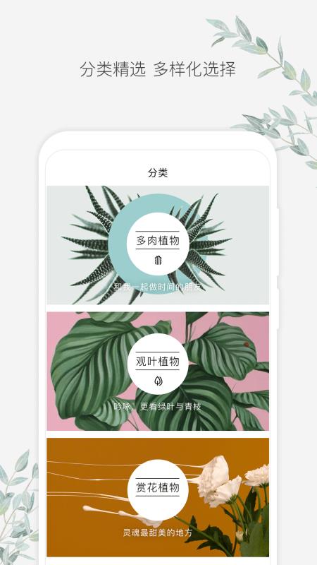 速想惠V1.0.0APP