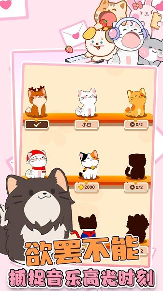 猫咪音游二重奏游戏