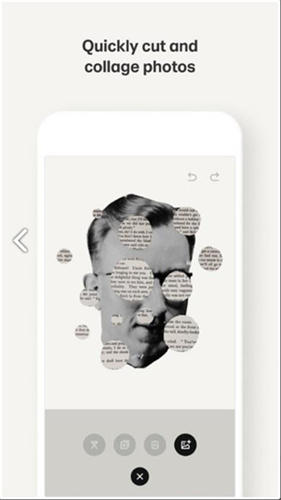 paper软件APP