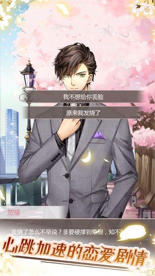 猫咪异闻手游游戏