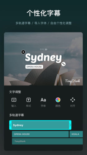 vnAPP