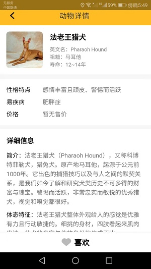 口袋乐看APP