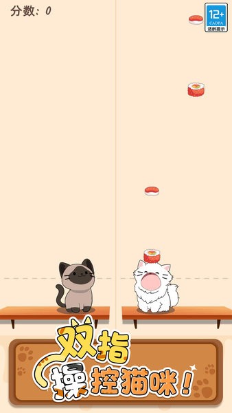 猫咪二重奏正版游戏