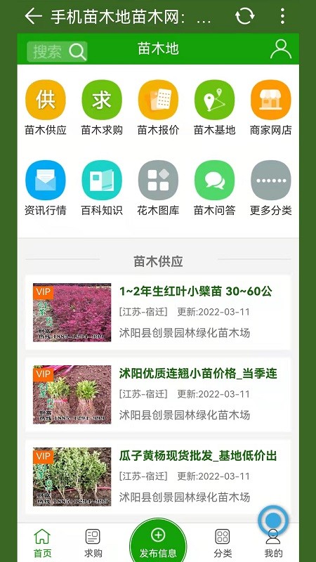 苗木地APP