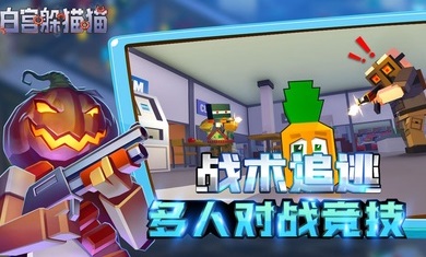 白宫躲猫猫游戏游戏