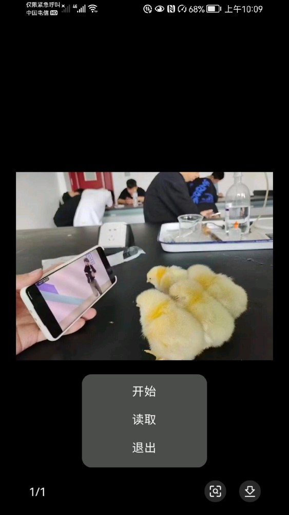 神明小黑子惊魂2游戏