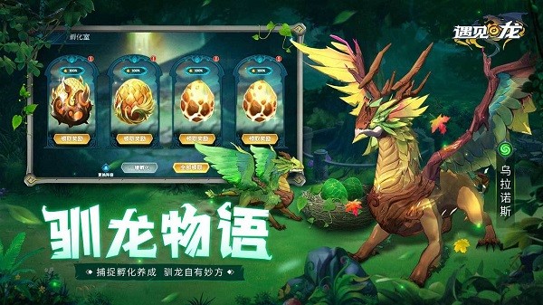 遇见龙游戏