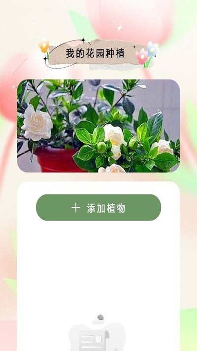 万物识图大师APP